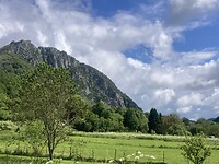IMG_6801