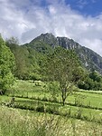 IMG_6800