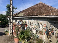 IMG_6818