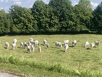 IMG_6821