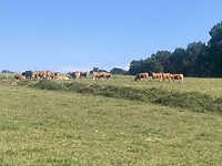 IMG_6827
