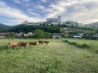IMG_6849