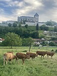 IMG_6850