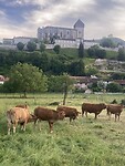 IMG_6851