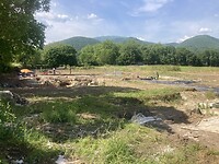 IMG_6857