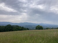 IMG_6872