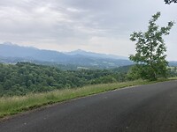 IMG_6873