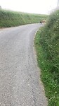 IMG_6874