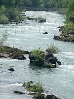 IMG_6890