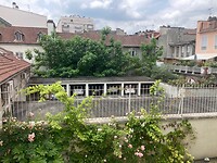 IMG_6904