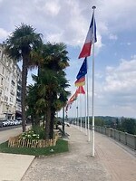 IMG_6919