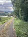 IMG_6941