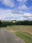 IMG_6942