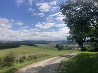 IMG_6943