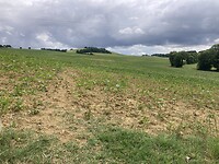 IMG_6944