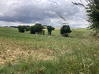 IMG_6945