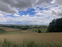 IMG_6946