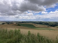 IMG_6947