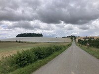 IMG_6949