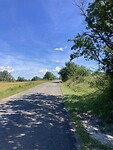 IMG_6989