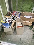 IMG_7010
