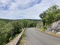 IMG_7015