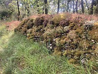 IMG_7038