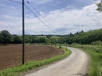 IMG_7067