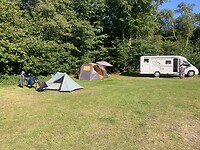IMG_7381