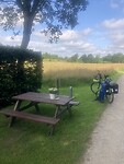 IMG_7385