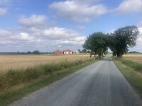 IMG_7386