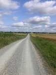 IMG_7392