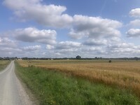IMG_7394