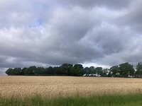 IMG_7418
