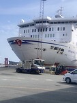 IMG_7481