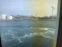 IMG_7484