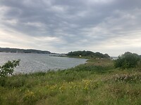 IMG_7487