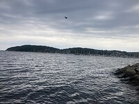 IMG_7489