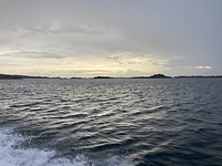 IMG_7504
