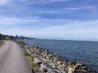 IMG_7513