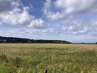 IMG_7515