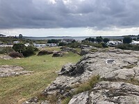 IMG_7520
