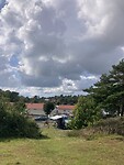 IMG_7524