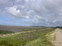 IMG_7532