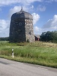 IMG_7536