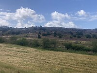 IMG_7539