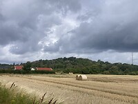 IMG_7540