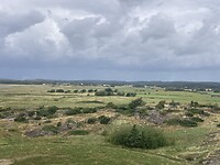 IMG_7548
