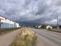 IMG_7550