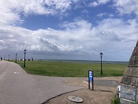 IMG_7551
